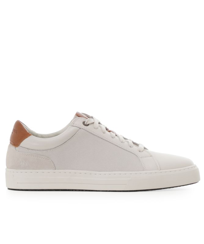 Rodd and Gunn Transit Trainers