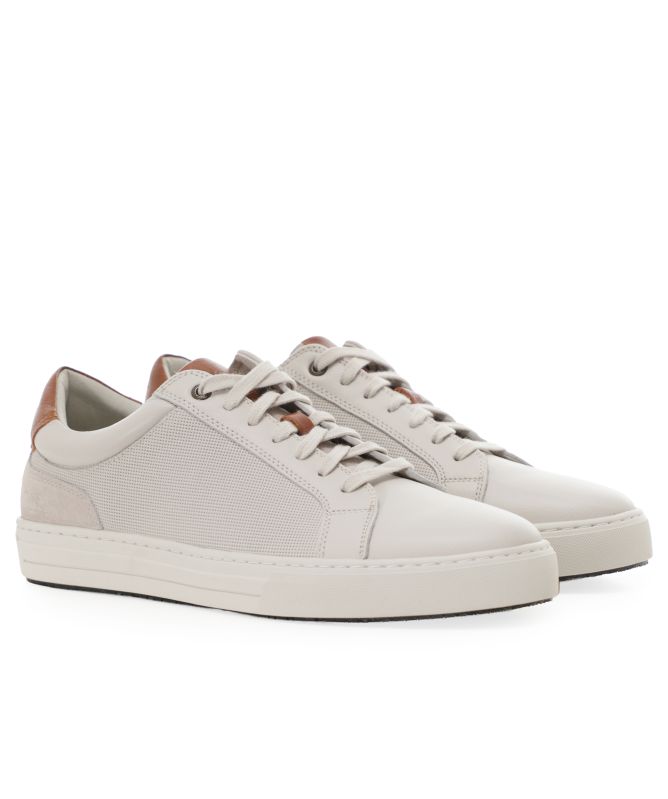 Rodd and Gunn Transit Trainers