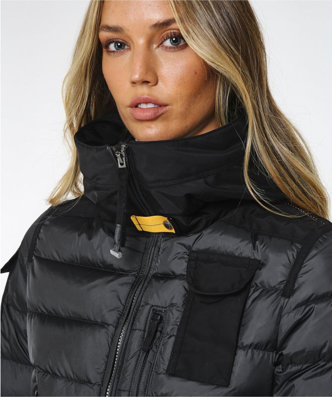 Electrónica Japonesa1