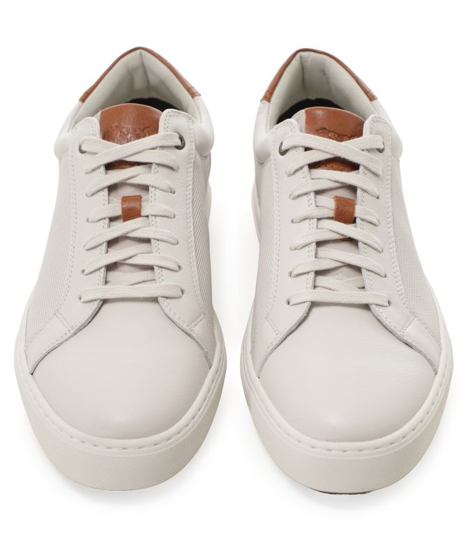 Rodd and Gunn Transit Trainers