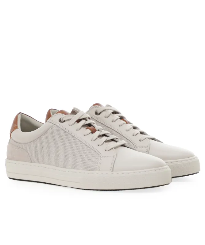 Rodd and Gunn Transit Trainers