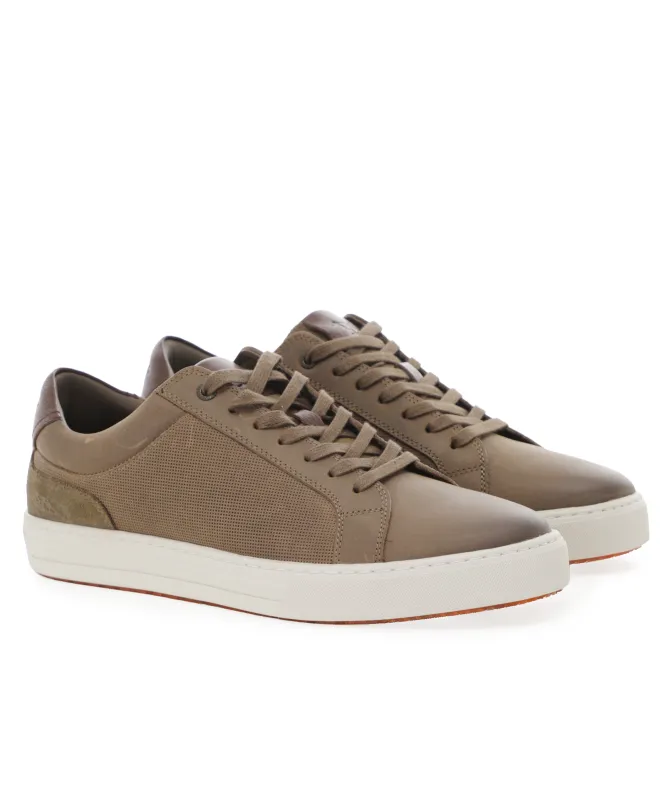 Rodd and Gunn Transit Trainers