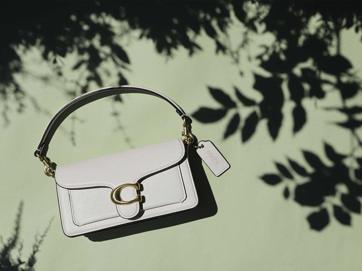 The Story of Coach and How It Became the Brand It Is Today
